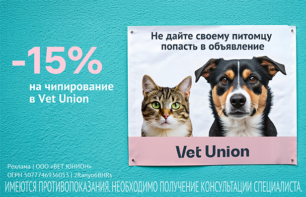 -15% на чипирование в Vet Union