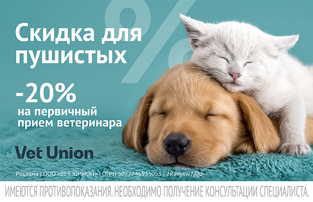 Скидки для пушистых