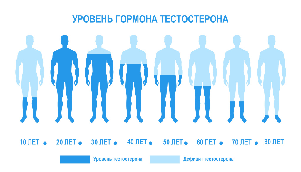 Тестостерон.jpg