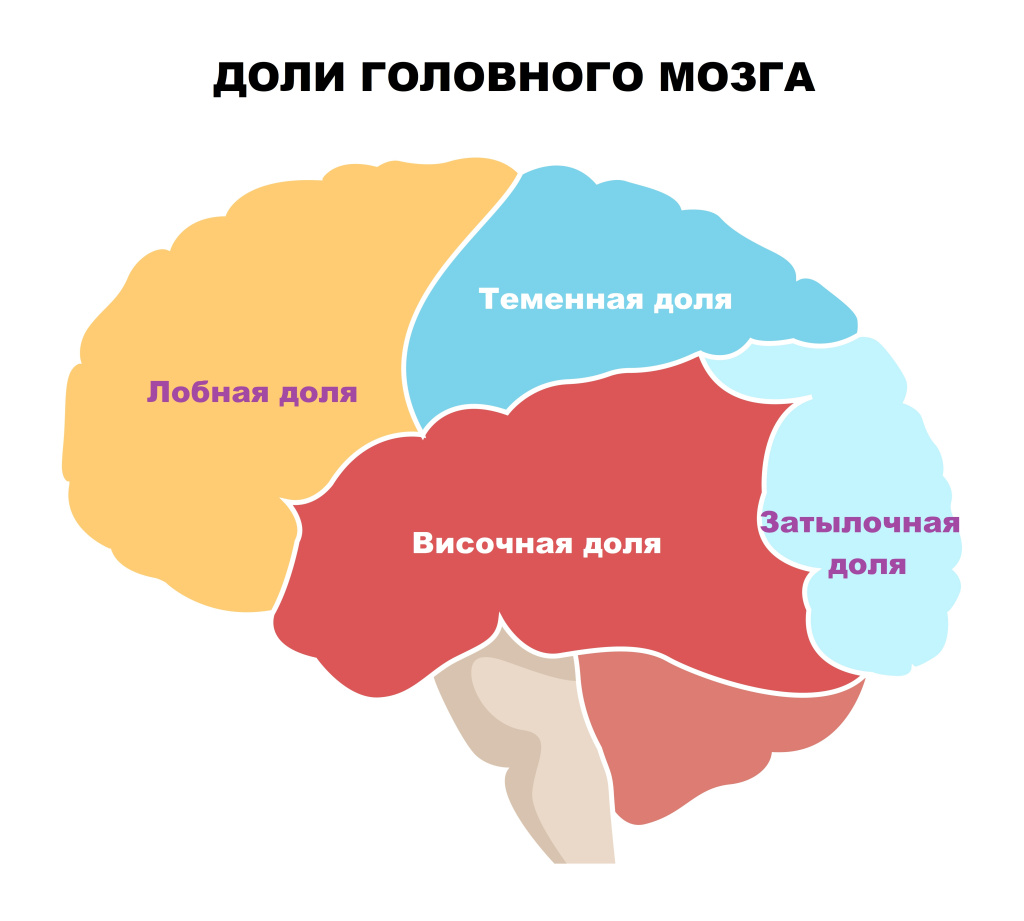 Болезнь Пика (лобно-височная дегенерация) - симптомы острой и хронической  форм, стадии и признаки у мужчин и женщин, причины появления, диагностика и  лечение заболевания