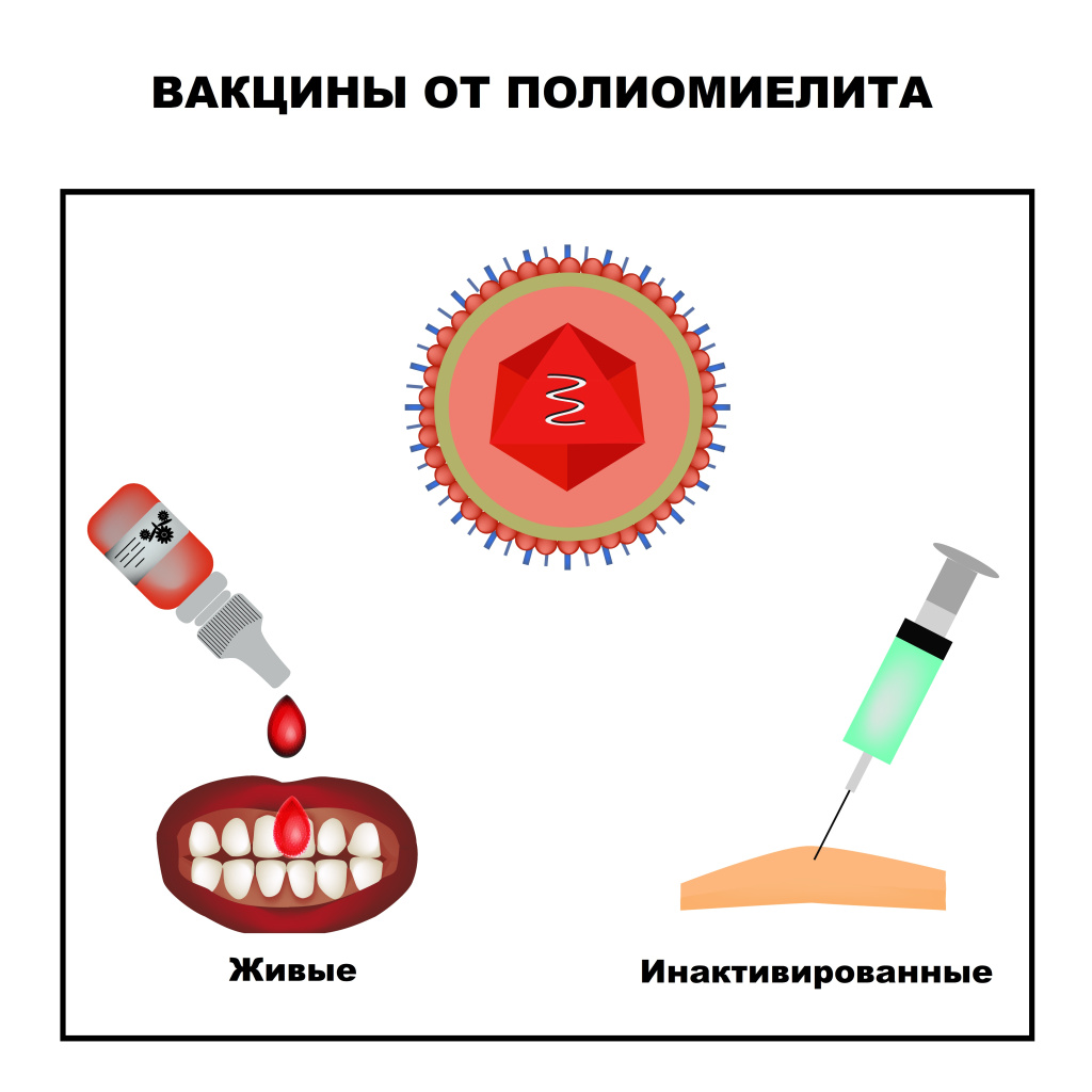 Полиомиелит.jpg