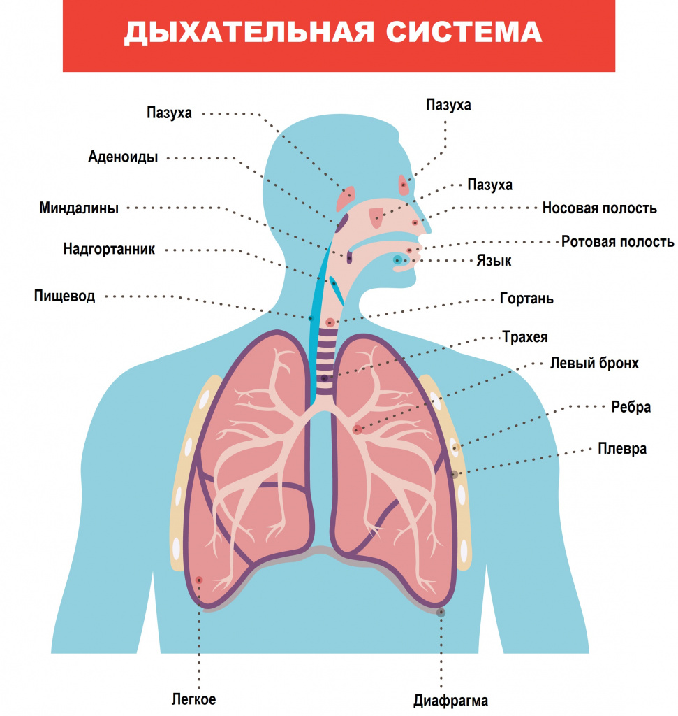 Симптомы и признаки болезней легких