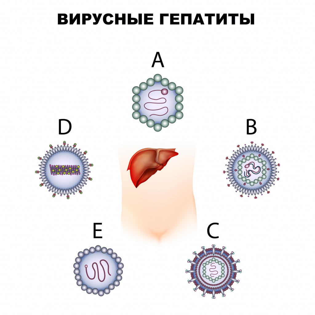 Доклад по теме Вірусний гепатит А