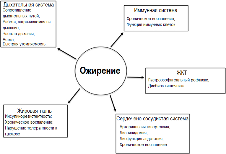 Рисунок 1.png Рисунок 1.png