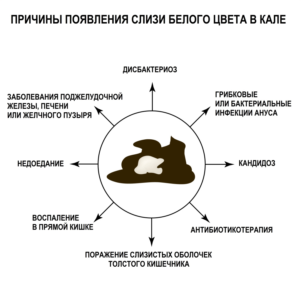 Белый.jpg