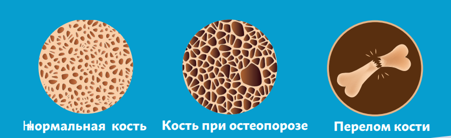 Рисунок 1.png