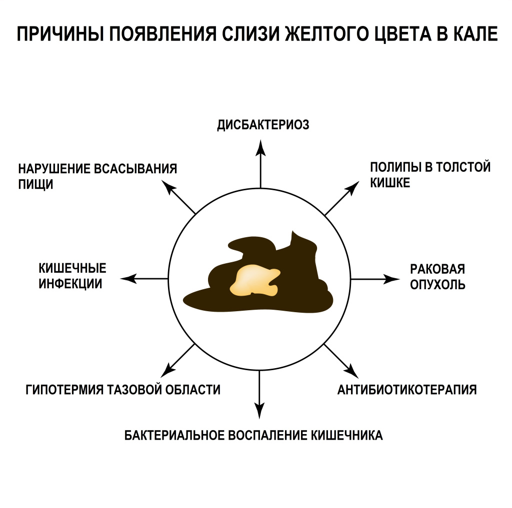 Желтый.jpg