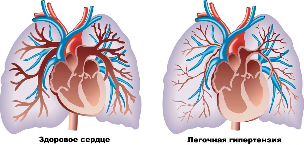Нарушения.jpg Нарушения.jpg