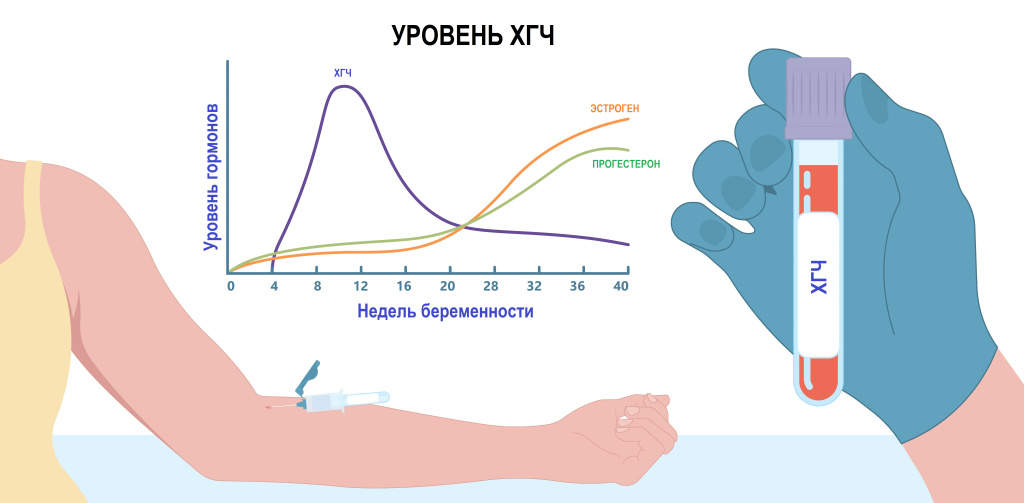 Беременность.jpg