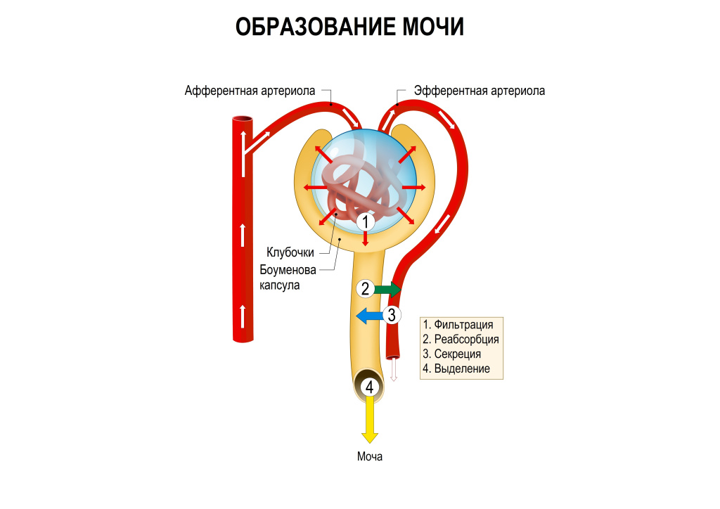 Фильтрация.jpg