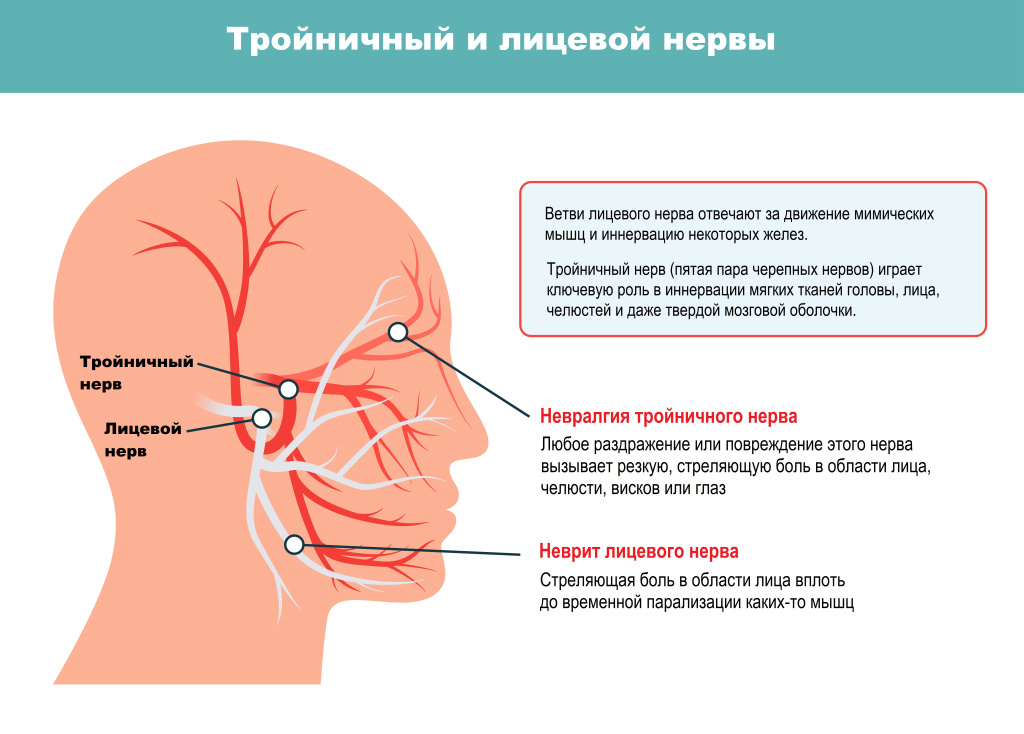 Нервы.jpg