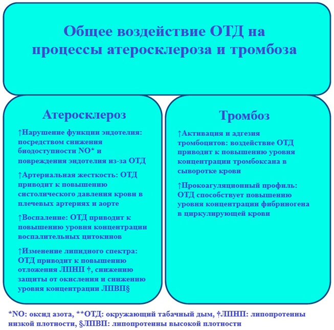 Рисунок 1.png Рисунок 1.png