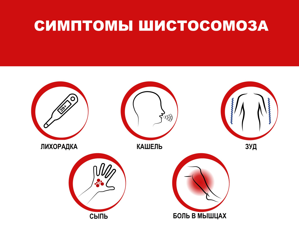 Шистосомоз.jpg