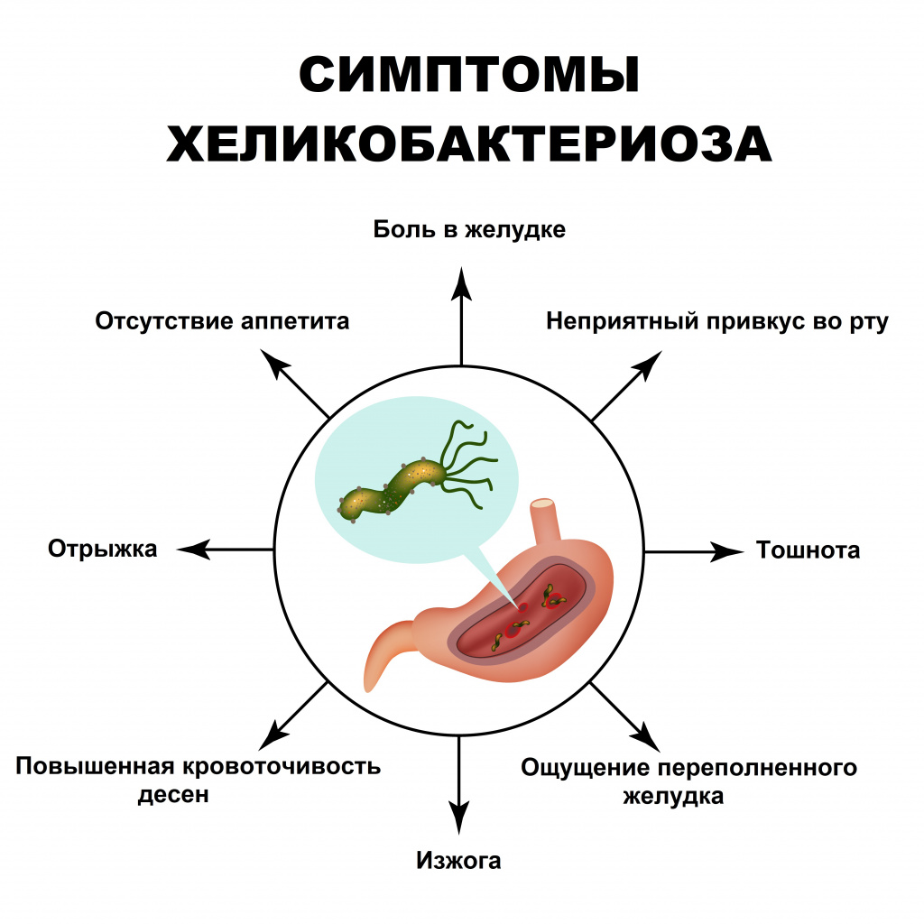 Причины появления бактерий в желудке. Пути инфицирования хеликобактер пилори. Признаки наличия в желудке бактерии хеликобактер пилори. Бактерия хеликобактер пилори схема. Гастрит бактерия Helicobacter симптомы.
