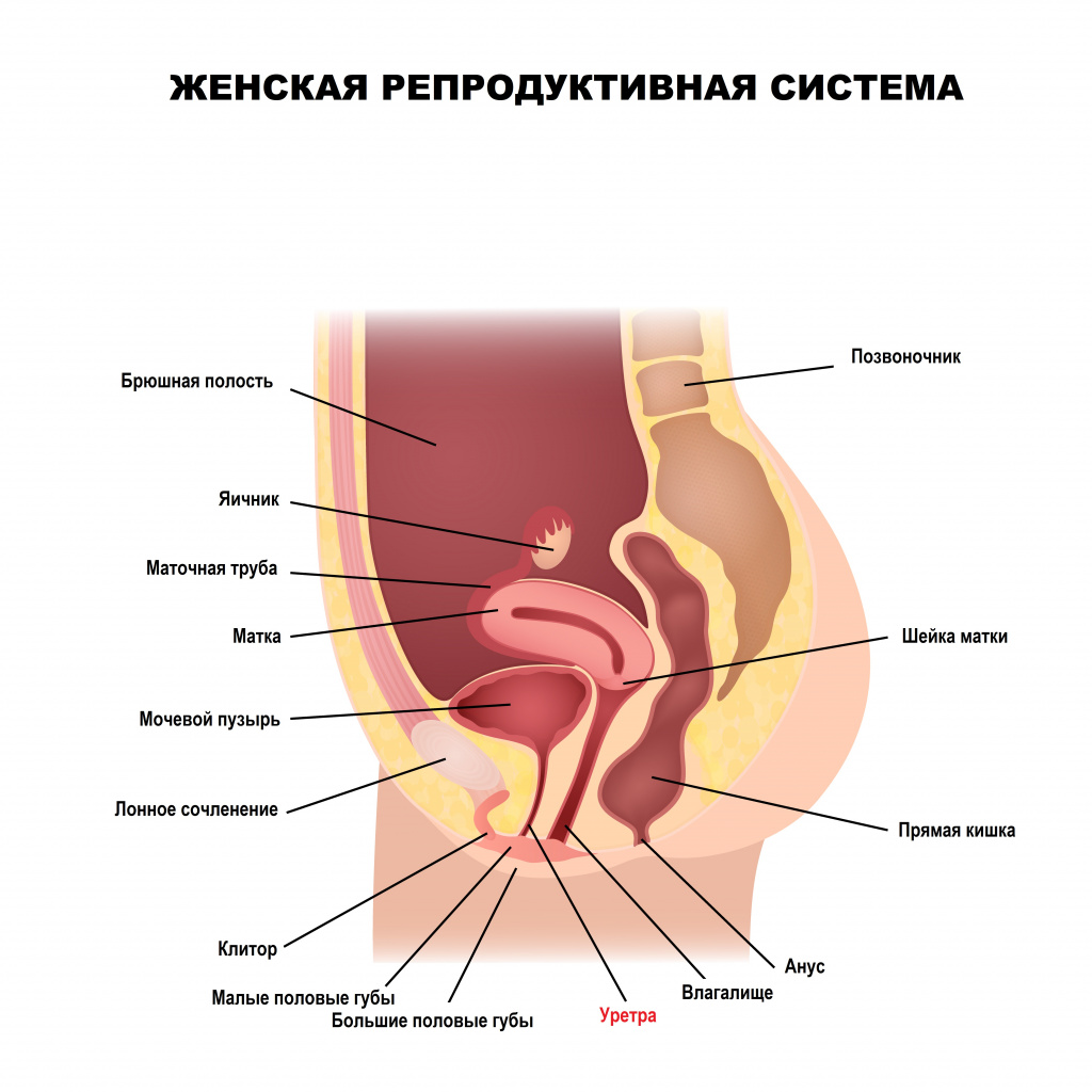 Щекочет в головке половых органов и почему возникает боль в голове при мочеиспускании у мужчин