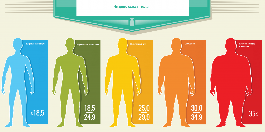 градации индекса массы тела.png