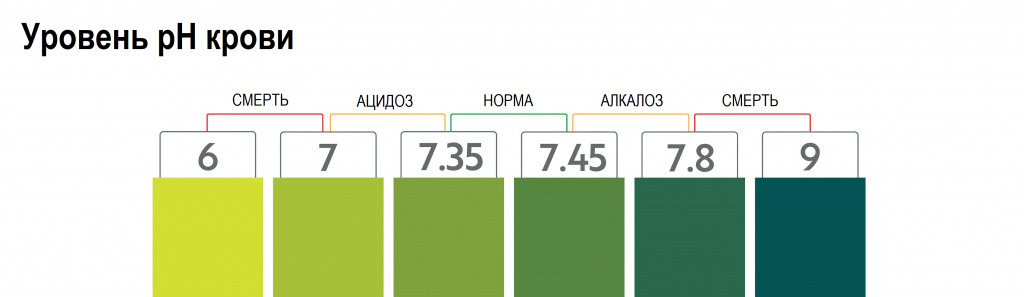 Кислотность крови.jpg Кислотность крови.jpg