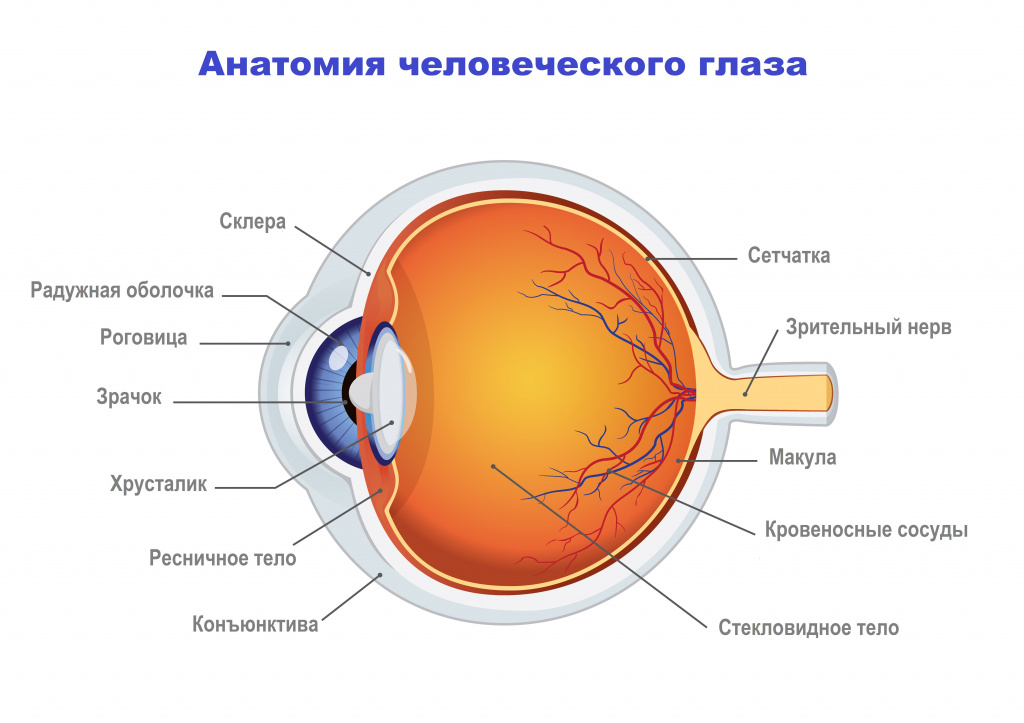 Глаз.jpg