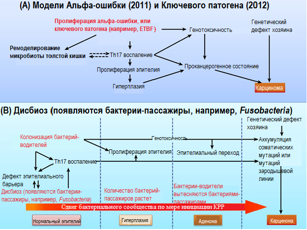 Рисунок 1.png