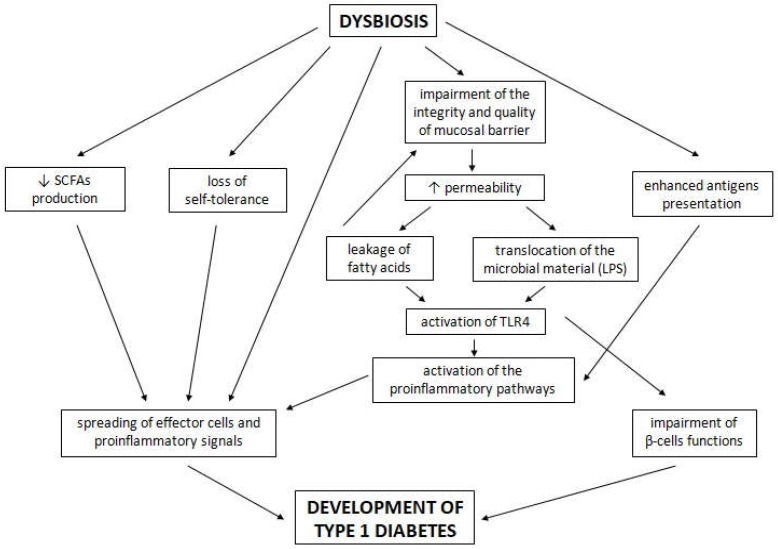 Рис. 1 Влияние дисбиоза на развитие СД1.jpg