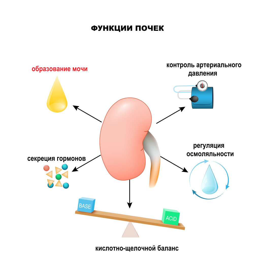 Уремия.jpg