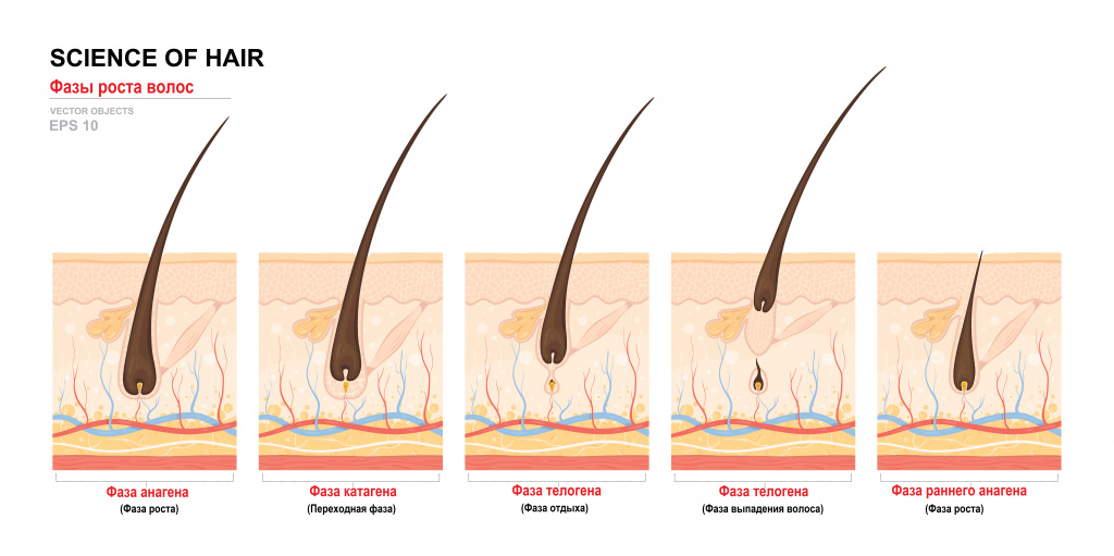 Выпадение волос - причины появления, при каких заболеваниях возникает,  диагностика и способы лечения