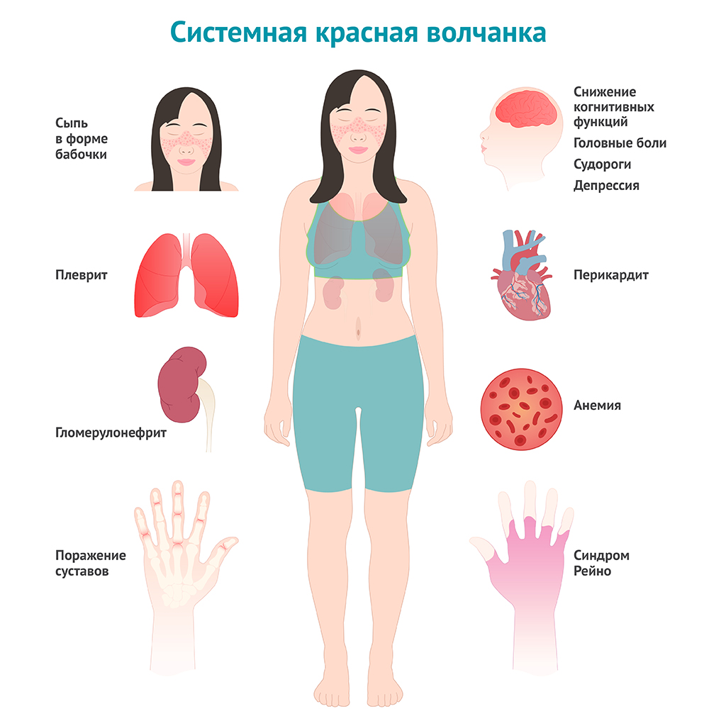 shutterstock_2212065137-01.jpg